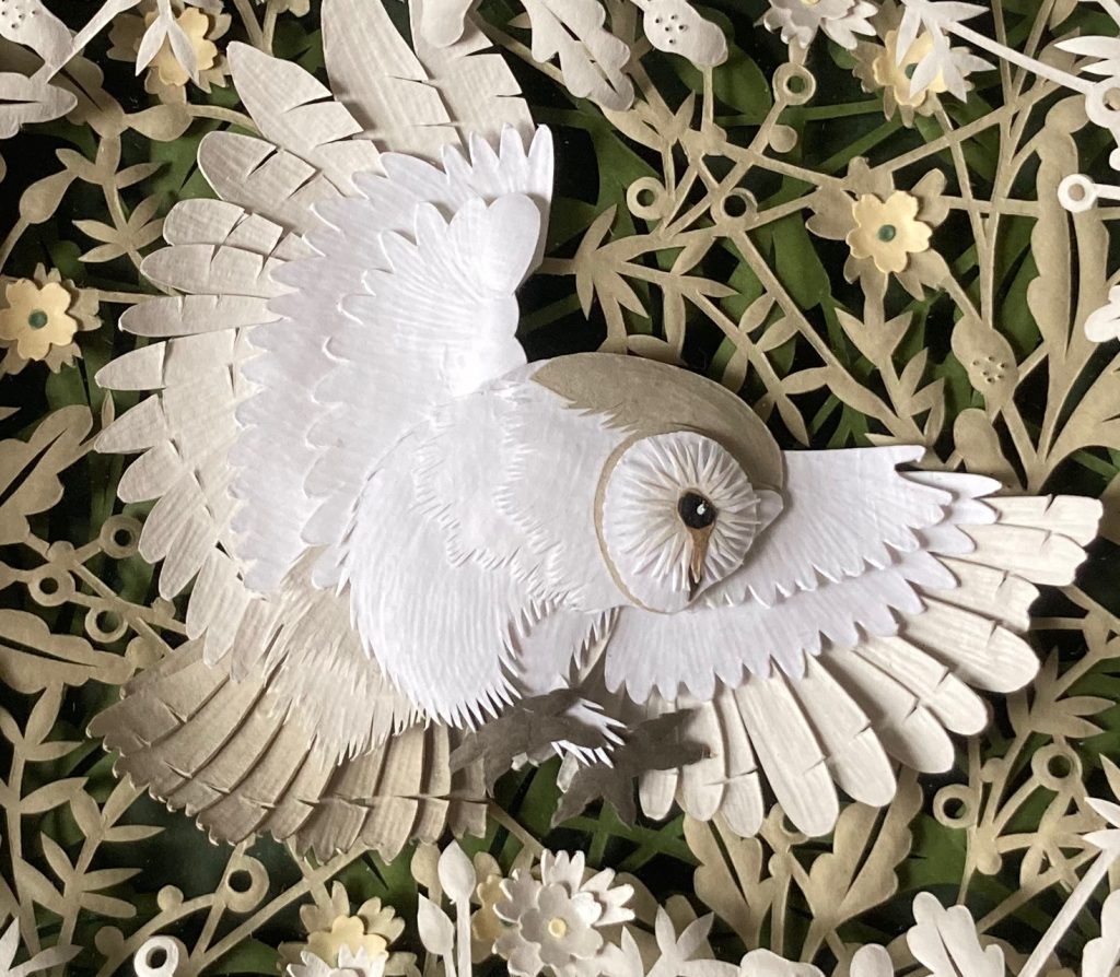 ANNA COOK PAPERART